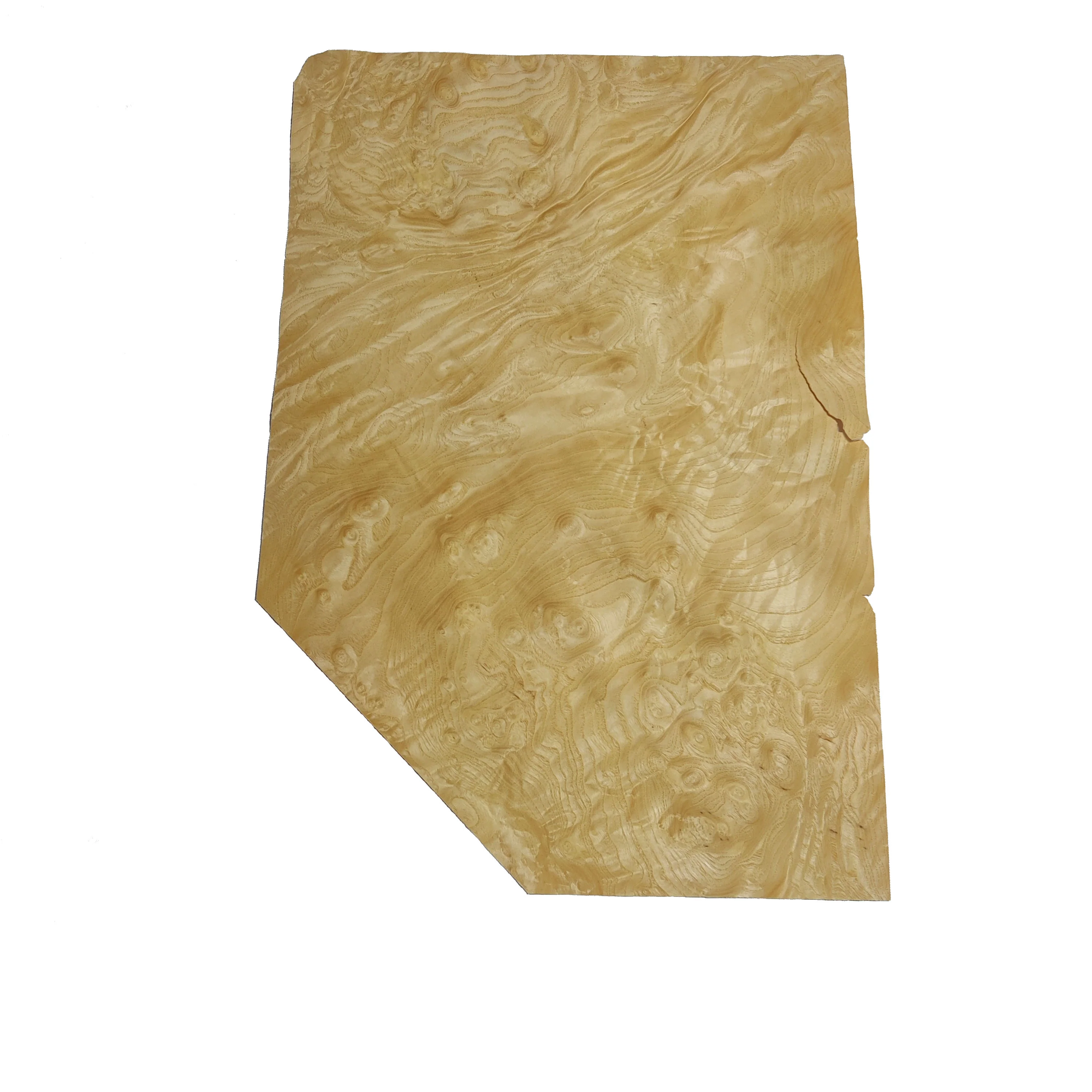 Ash Burl Veneer - Image 5