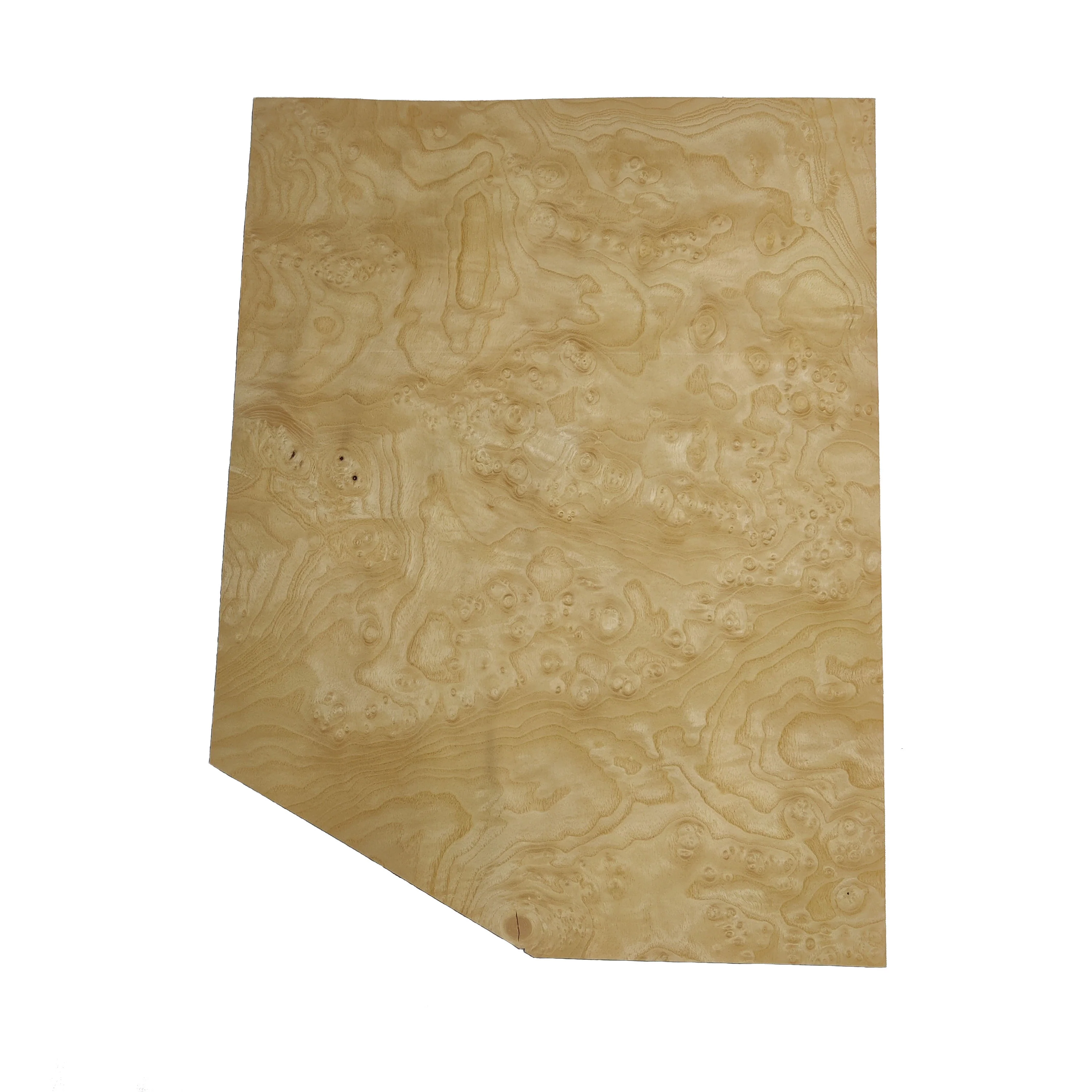 Ash Burl Veneer - Image 8