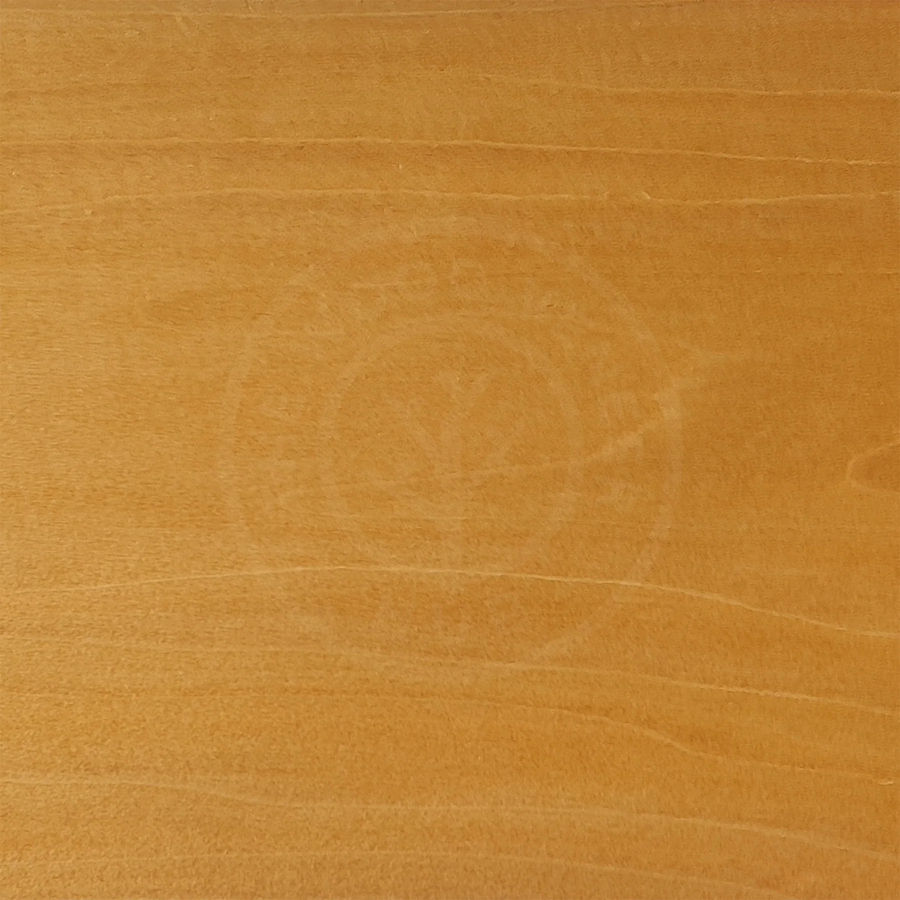 Broom Yellow Tulipwood Coloured Wood Veneer - Image 3