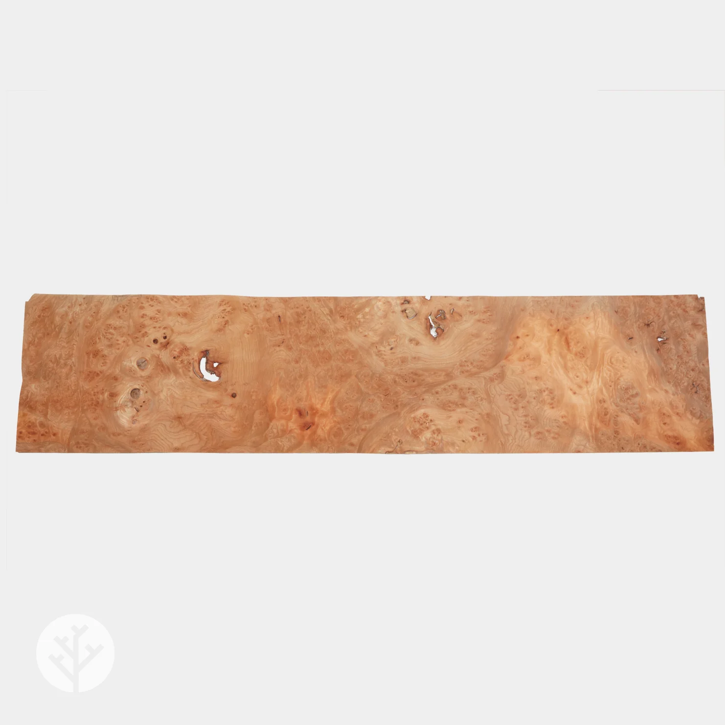 Elm Cluster Wood Veneer - Image 3