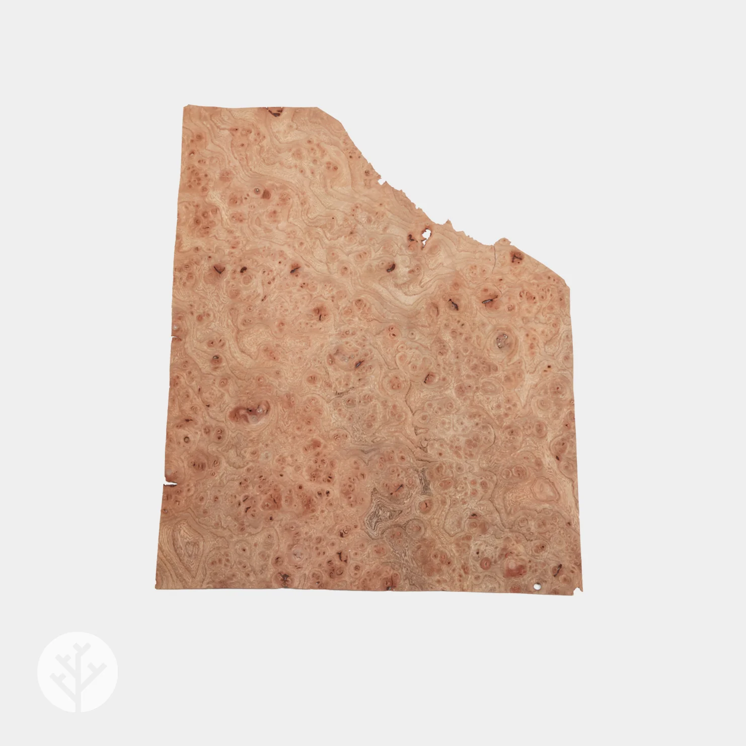 Elm Cluster Wood Veneer - Image 5