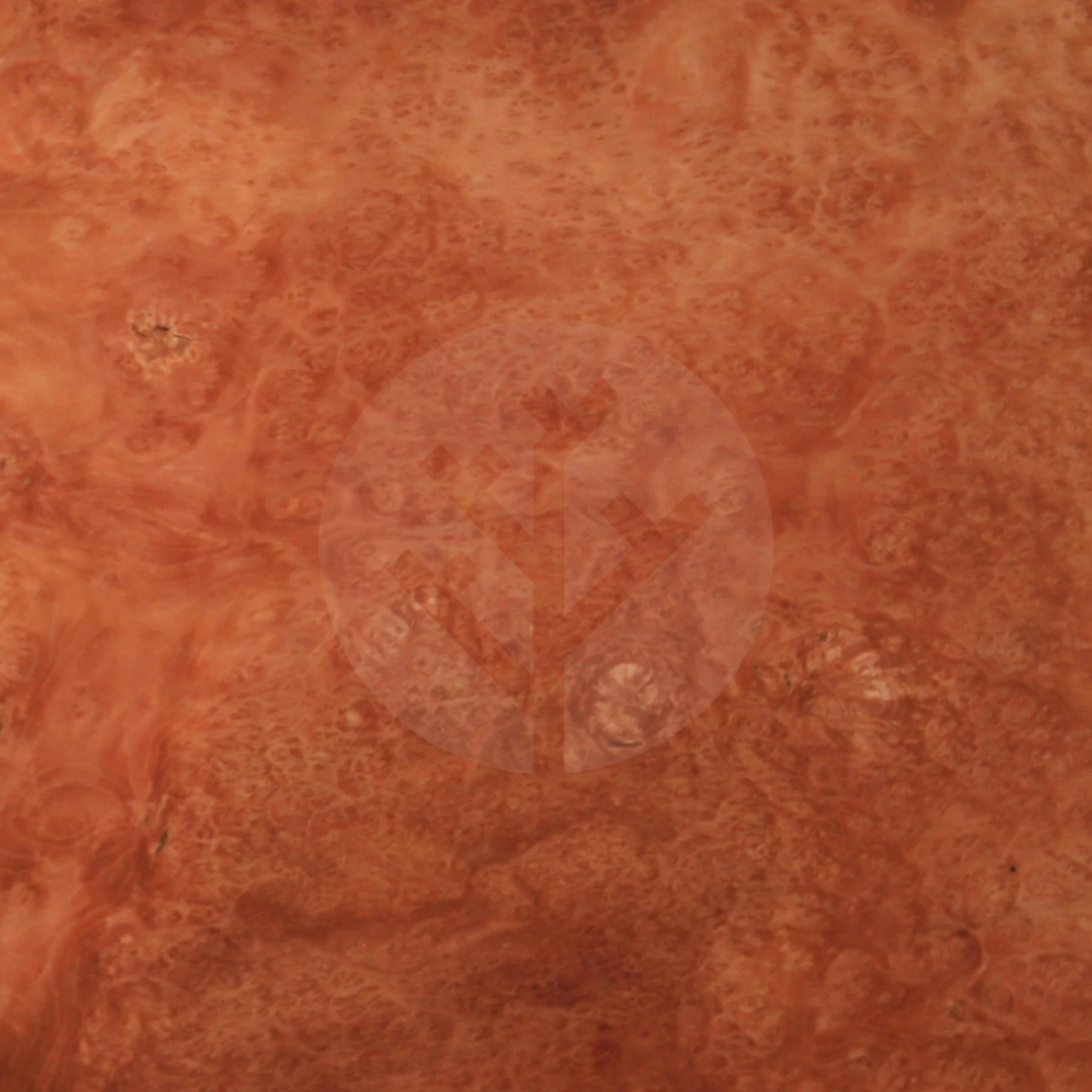 London Plane Tree Burl Wood Veneer