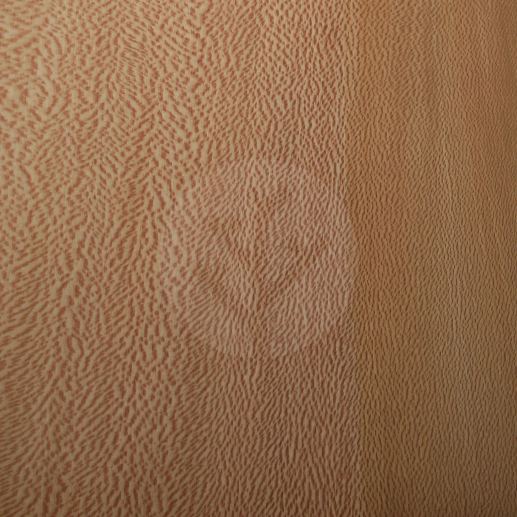 London Plane Tree Wood Veneer - Image 3