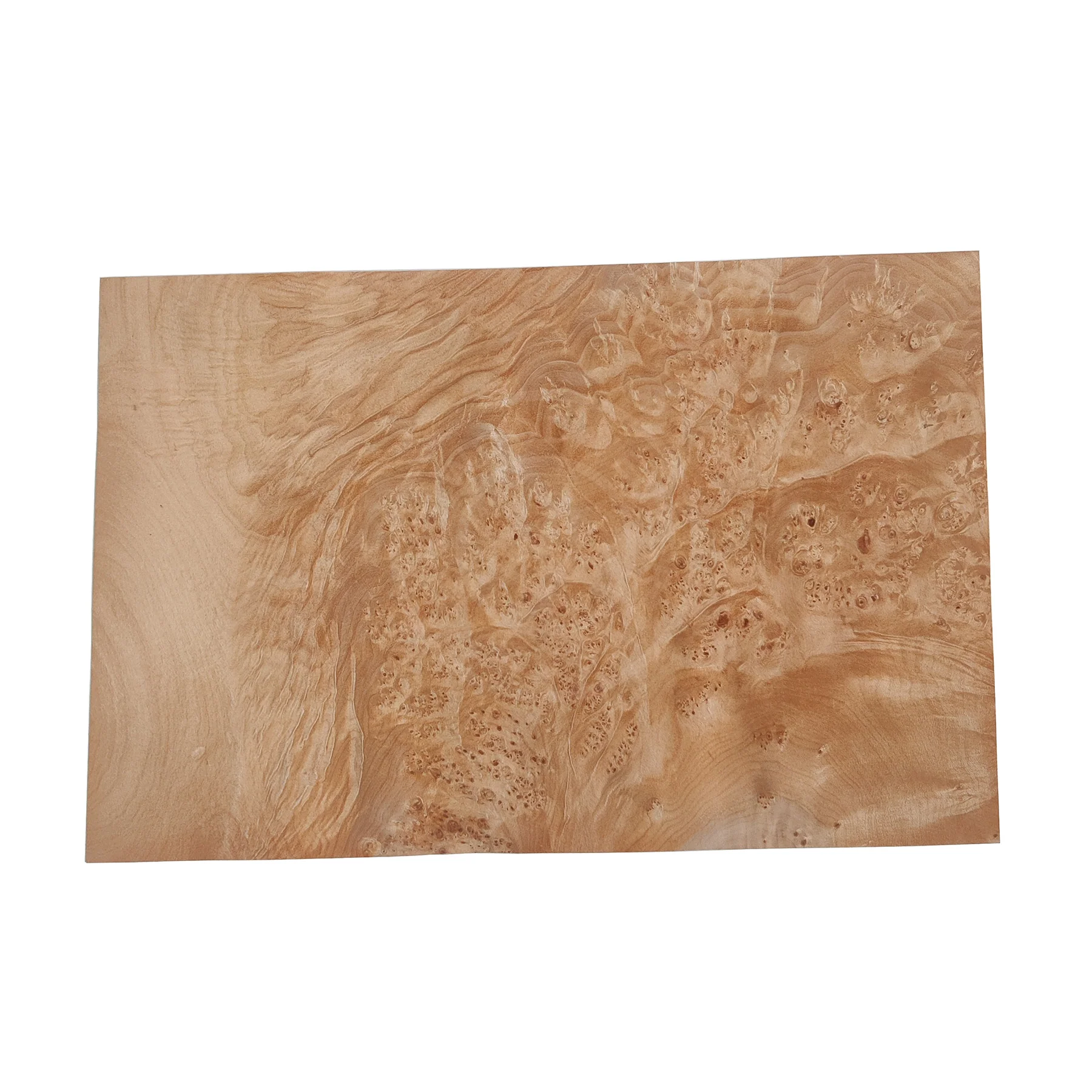 Maple Burl Wood Veneer - Image 3