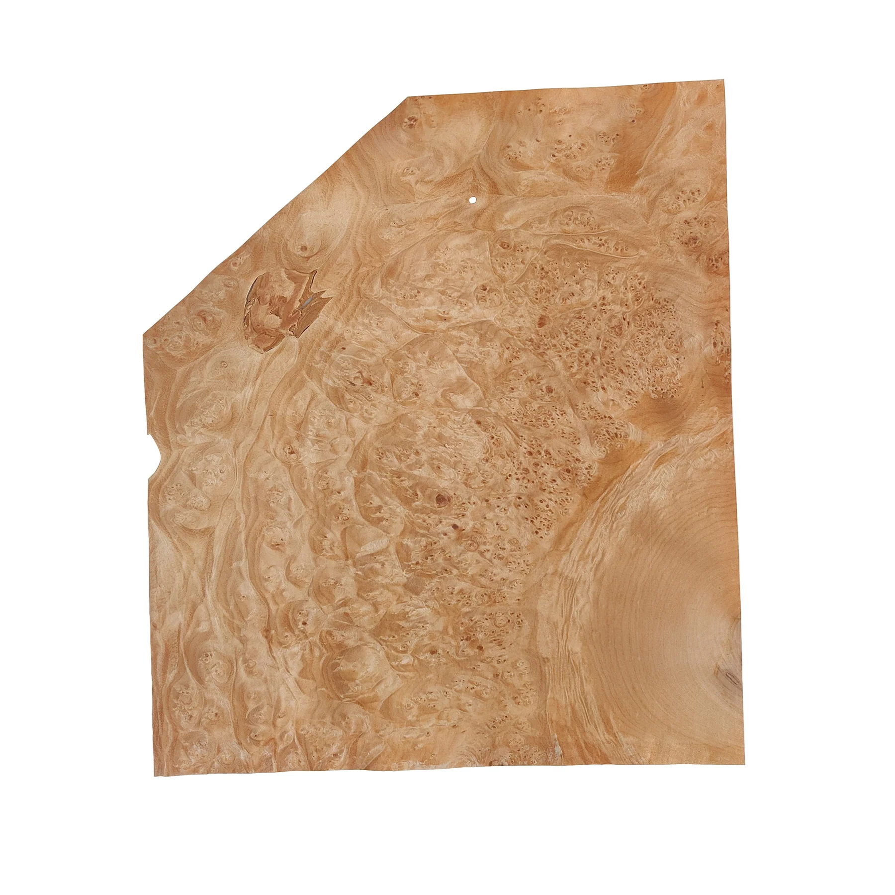 Maple Burl Wood Veneer - Image 6