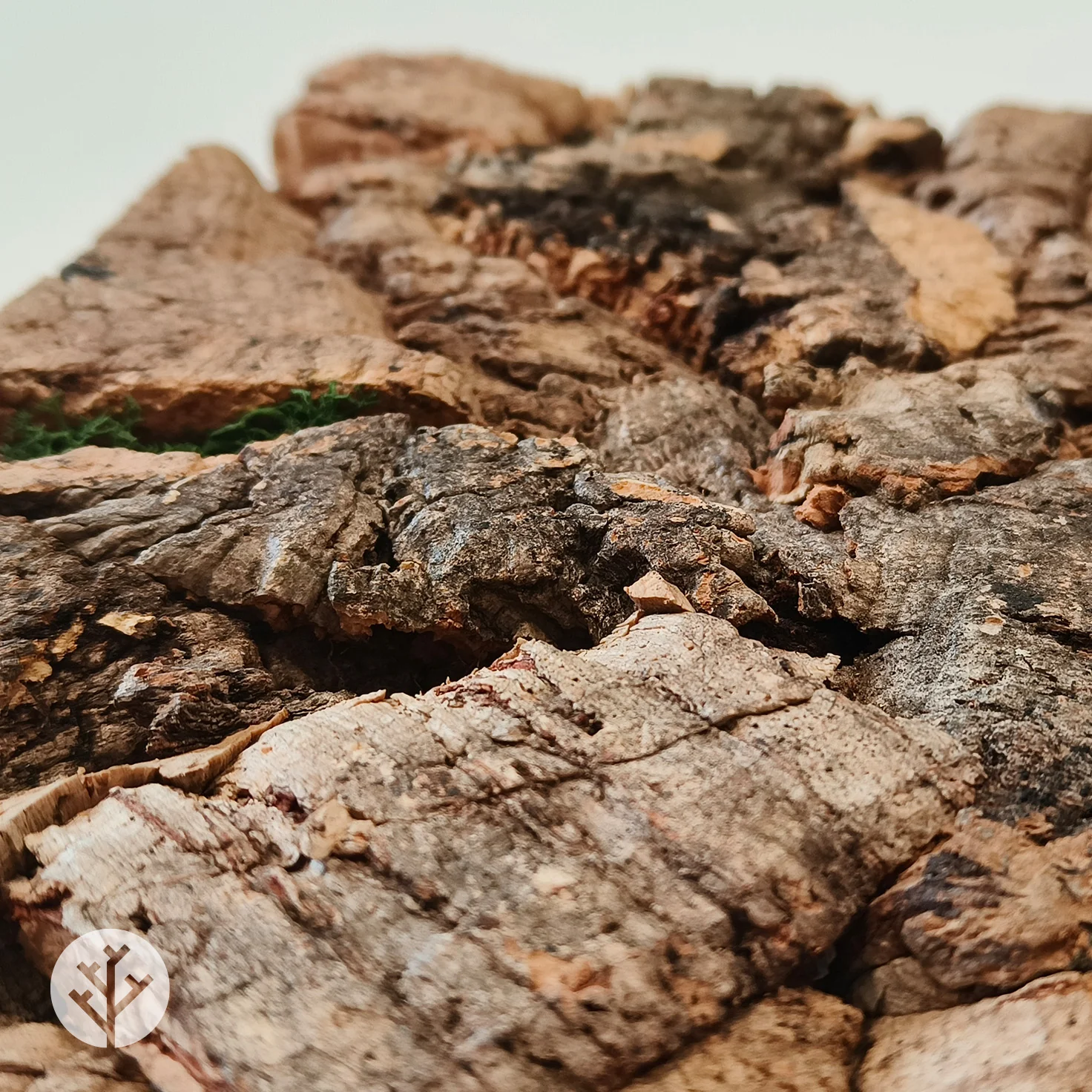 Muratto® Luxury Cork Wall Panel Sample Boxes - Image 12