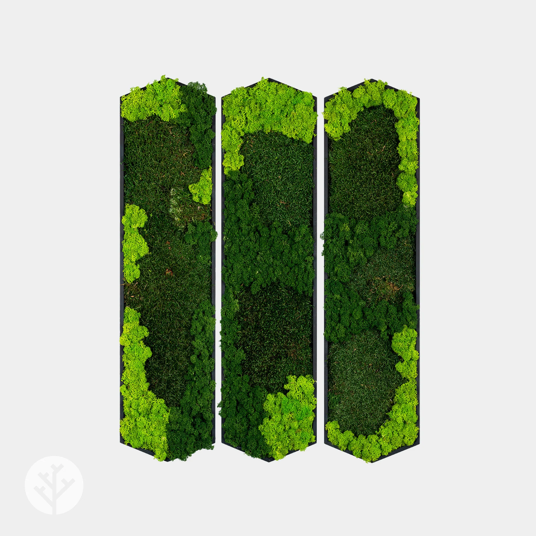 Muratto® Green Hexad Preserved Moss Luxury Wall Tiles - Image 2