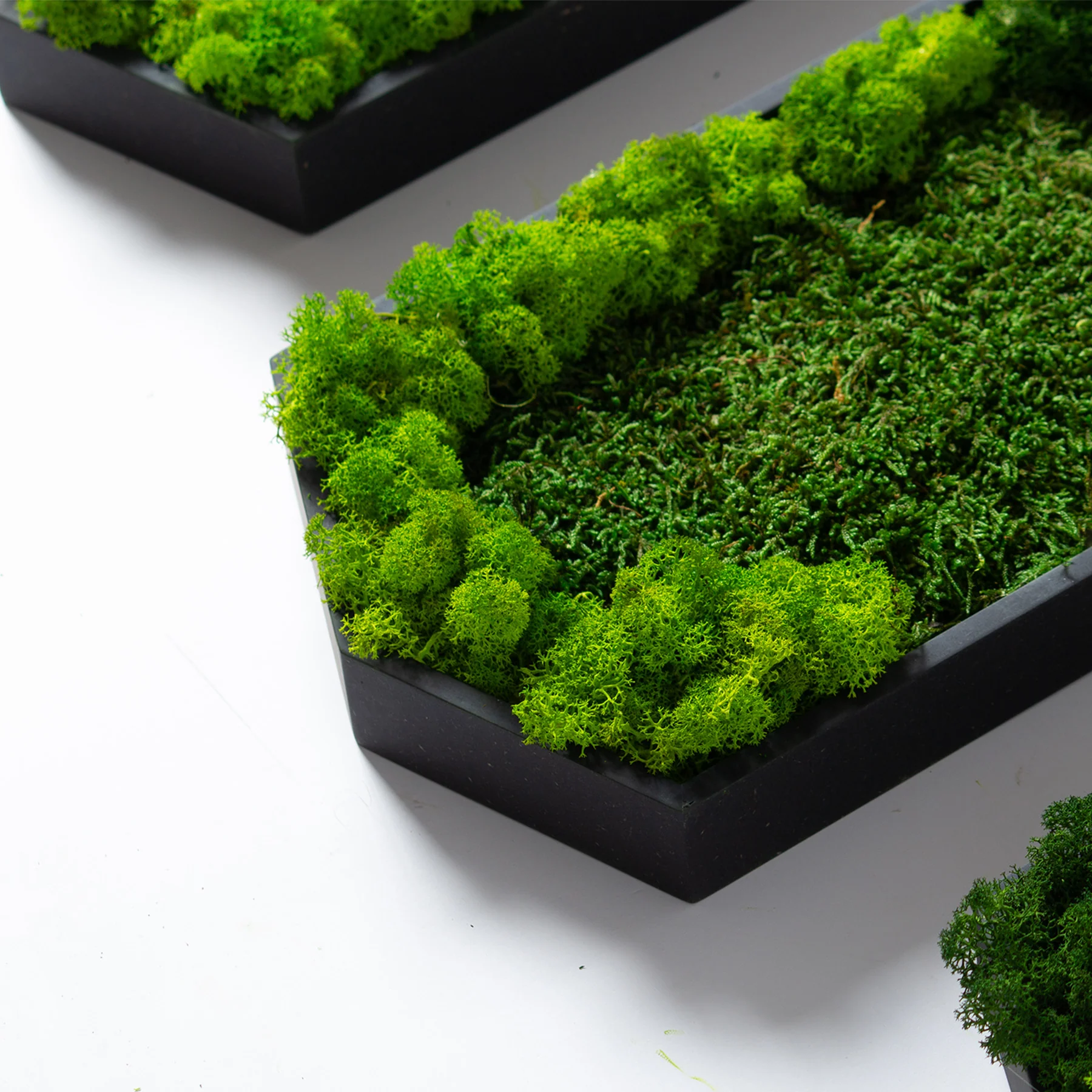 Muratto® Green Hexad Preserved Moss Luxury Wall Tiles - Image 3