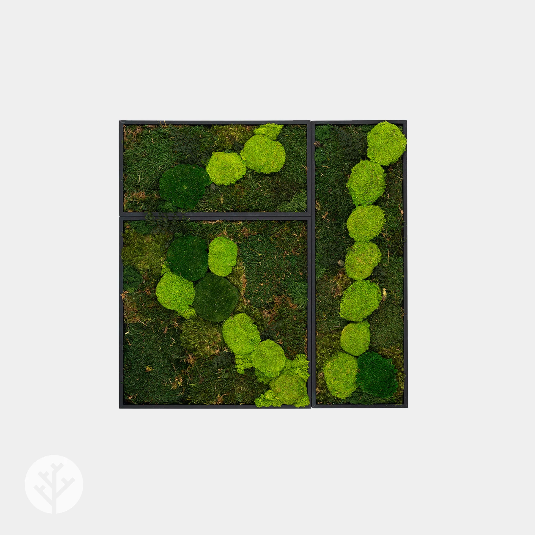 Muratto® Green Modular Square Preserved Moss Luxury Wall Tiles - Image 2