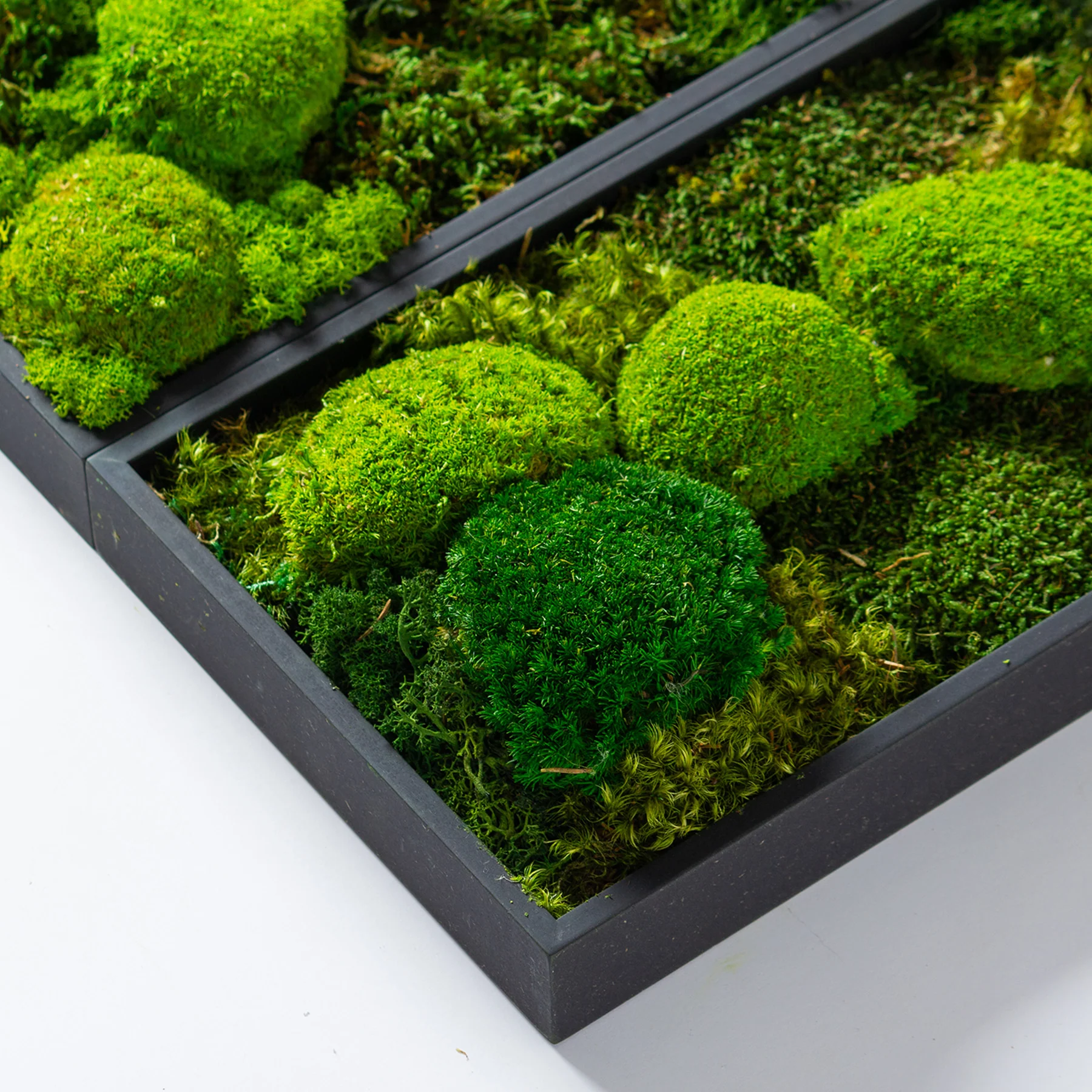 Muratto® Green Modular Square Preserved Moss Luxury Wall Tiles - Image 3