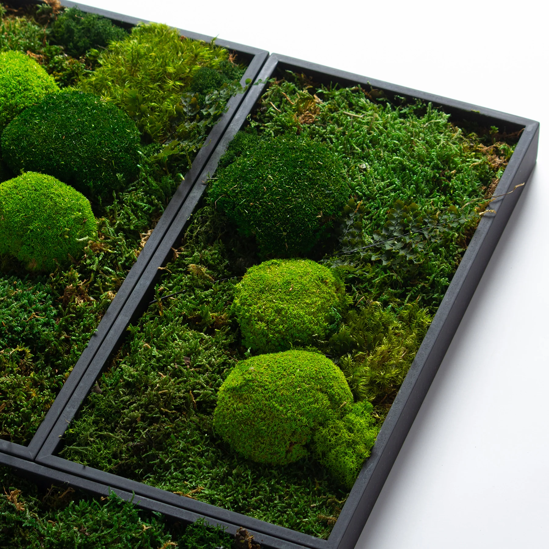 Muratto® Green Modular Square Preserved Moss Luxury Wall Tiles - Image 5