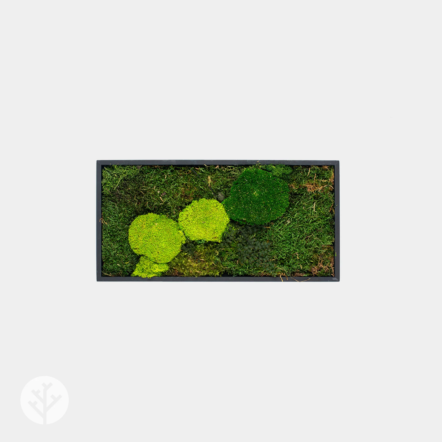 Muratto® Green Modular Square Preserved Moss Luxury Wall Tiles - Image 6