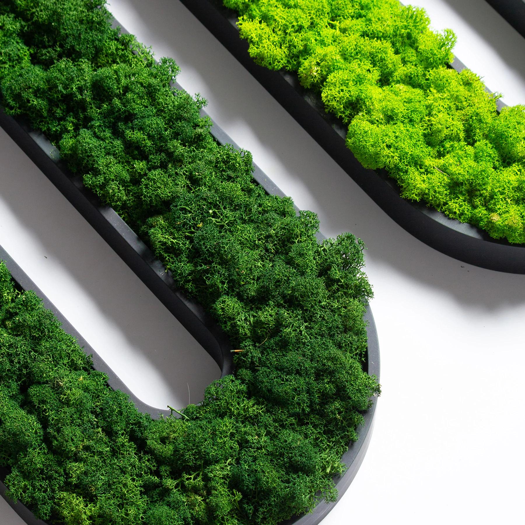 Muratto® Green Overlong Preserved Moss Luxury Wall Tiles - Image 6