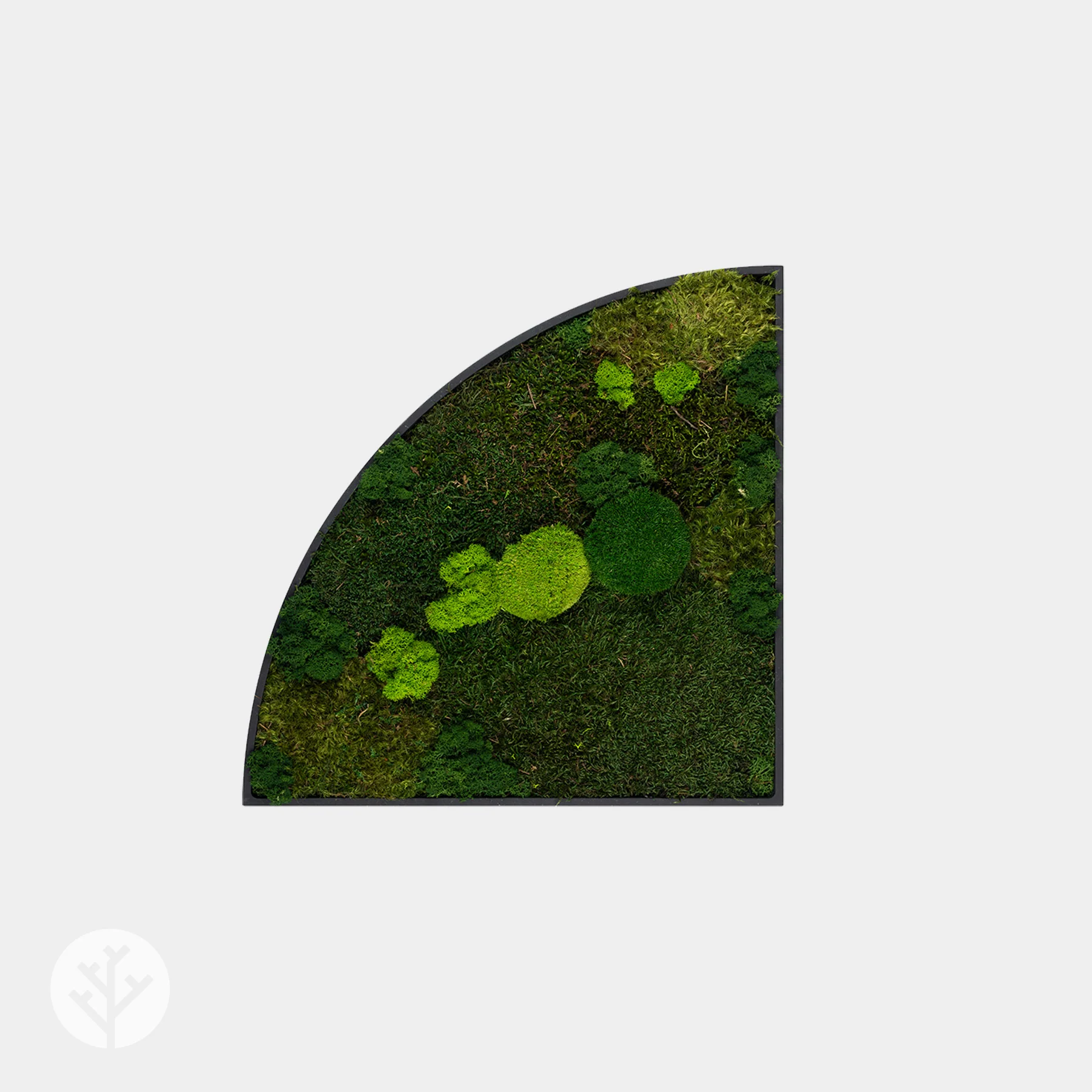 Muratto® Green Quadrant Preserved Moss Luxury Wall Tiles - Image 2
