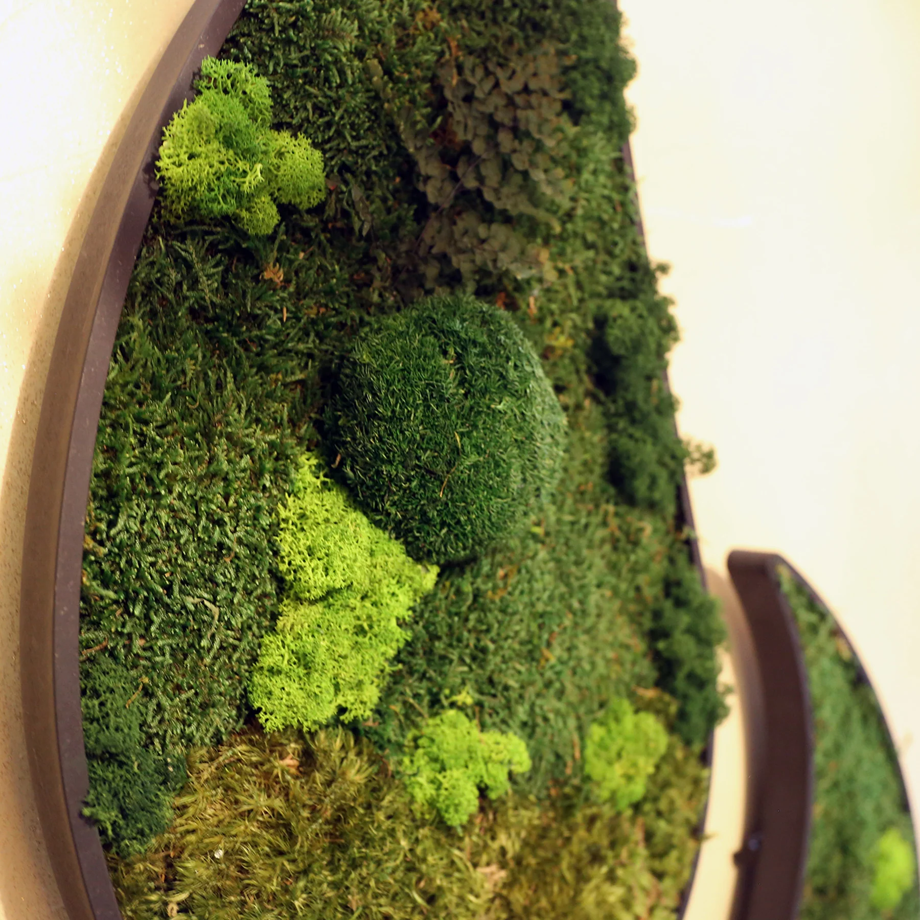 Muratto® Green Teardrop Preserved Moss Luxury Wall Tiles - Image 3