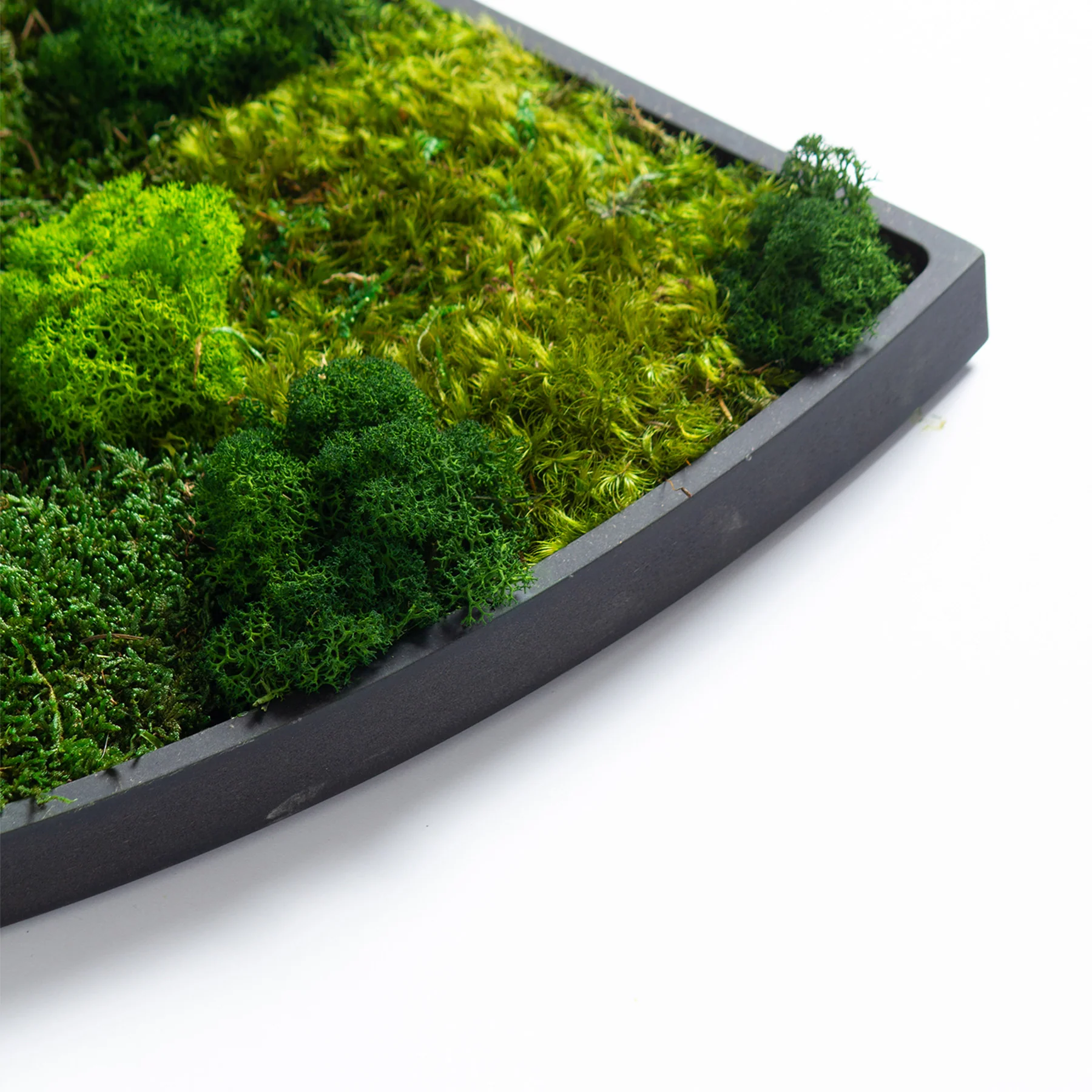 Muratto® Green Teardrop Preserved Moss Luxury Wall Tiles - Image 4
