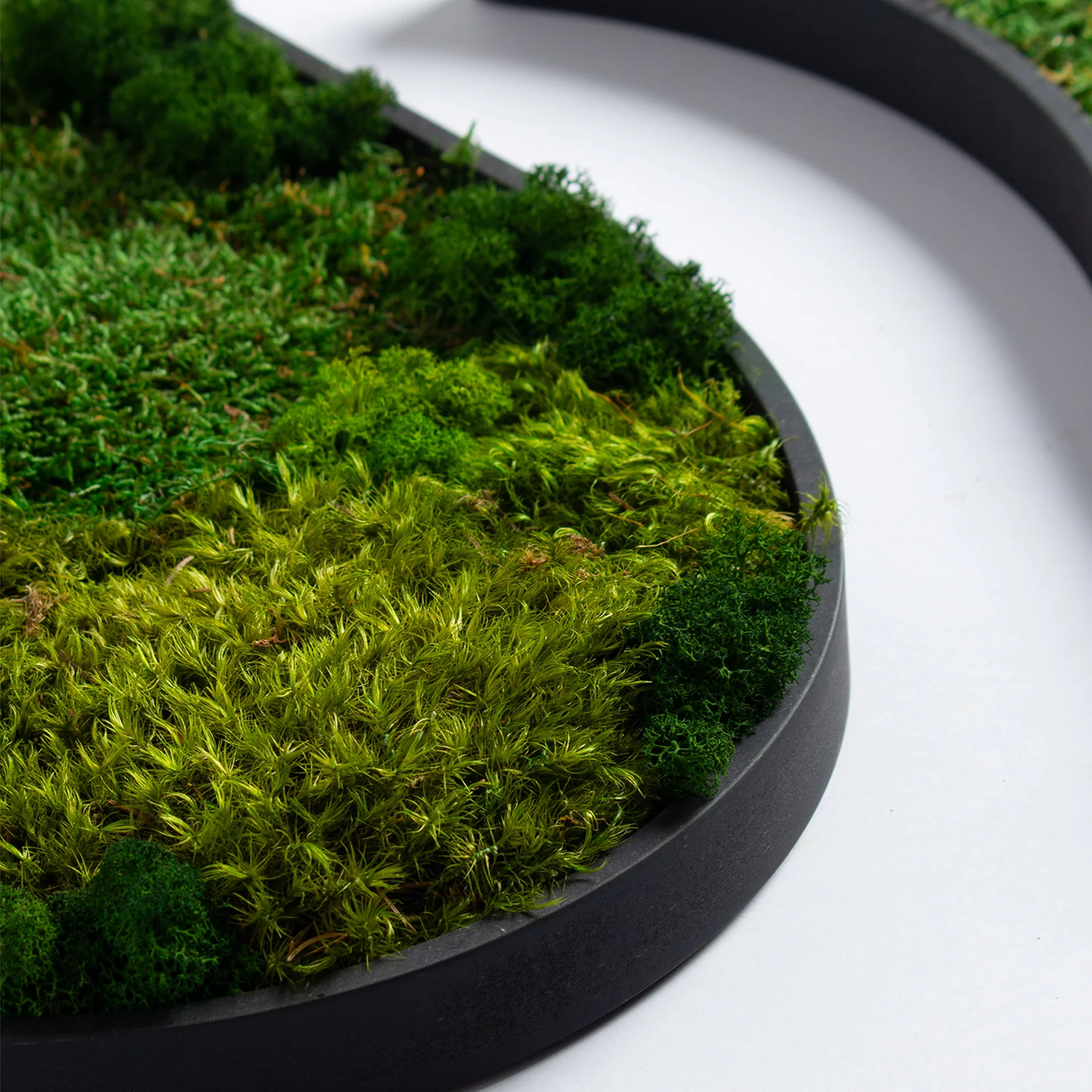 Muratto® Green Teardrop Preserved Moss Luxury Wall Tiles - Image 6