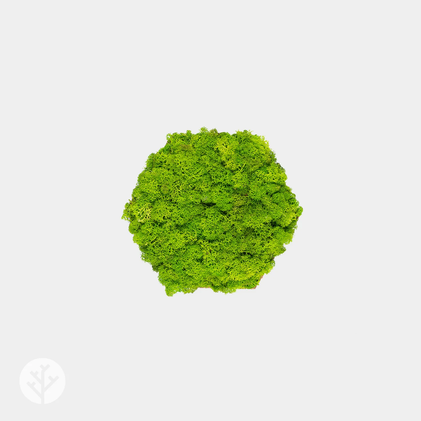 Muratto® Organic Hexagonal Moss Endless Cork Luxury Wall Tiles - Image 2