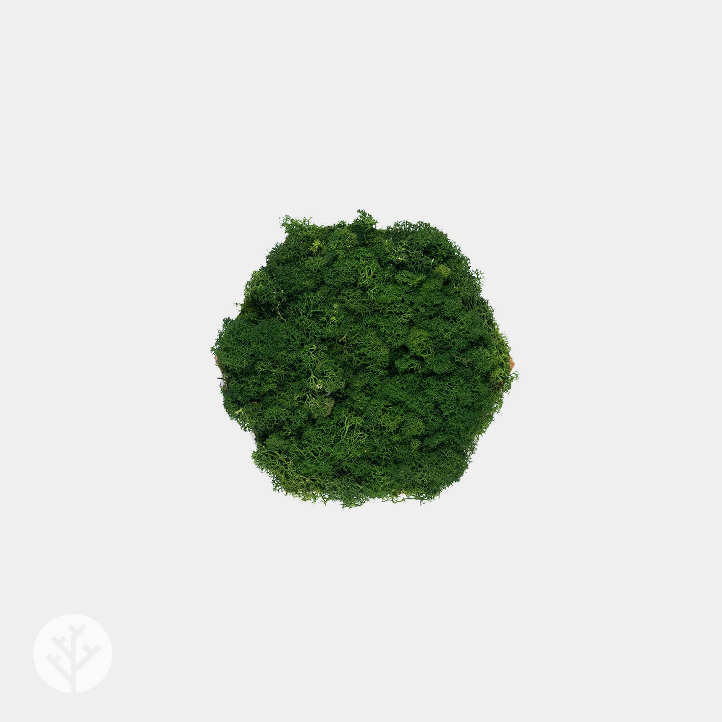 Muratto® Organic Hexagonal Moss Endless Cork Luxury Wall Tiles - Image 3