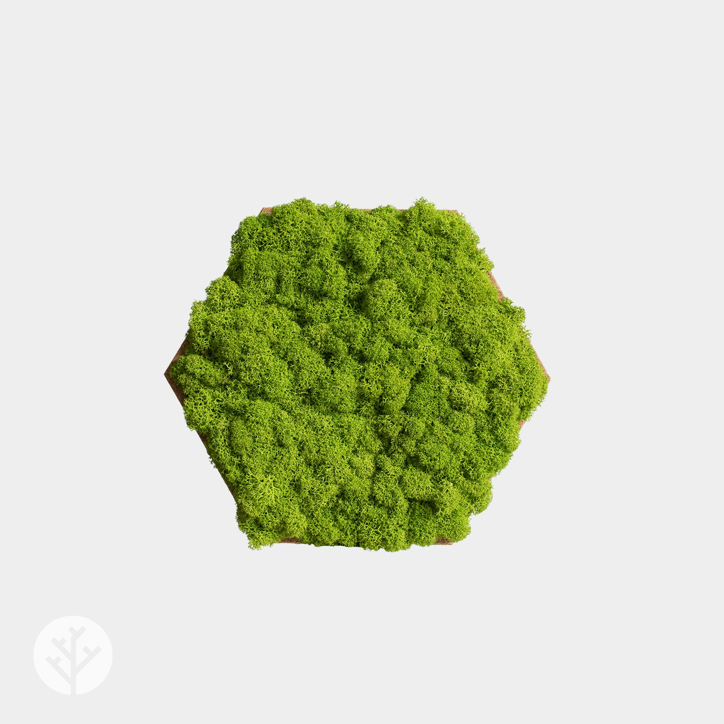 Muratto® Organic Hexagonal Moss Trays Cork Luxury Wall Tiles - Image 2
