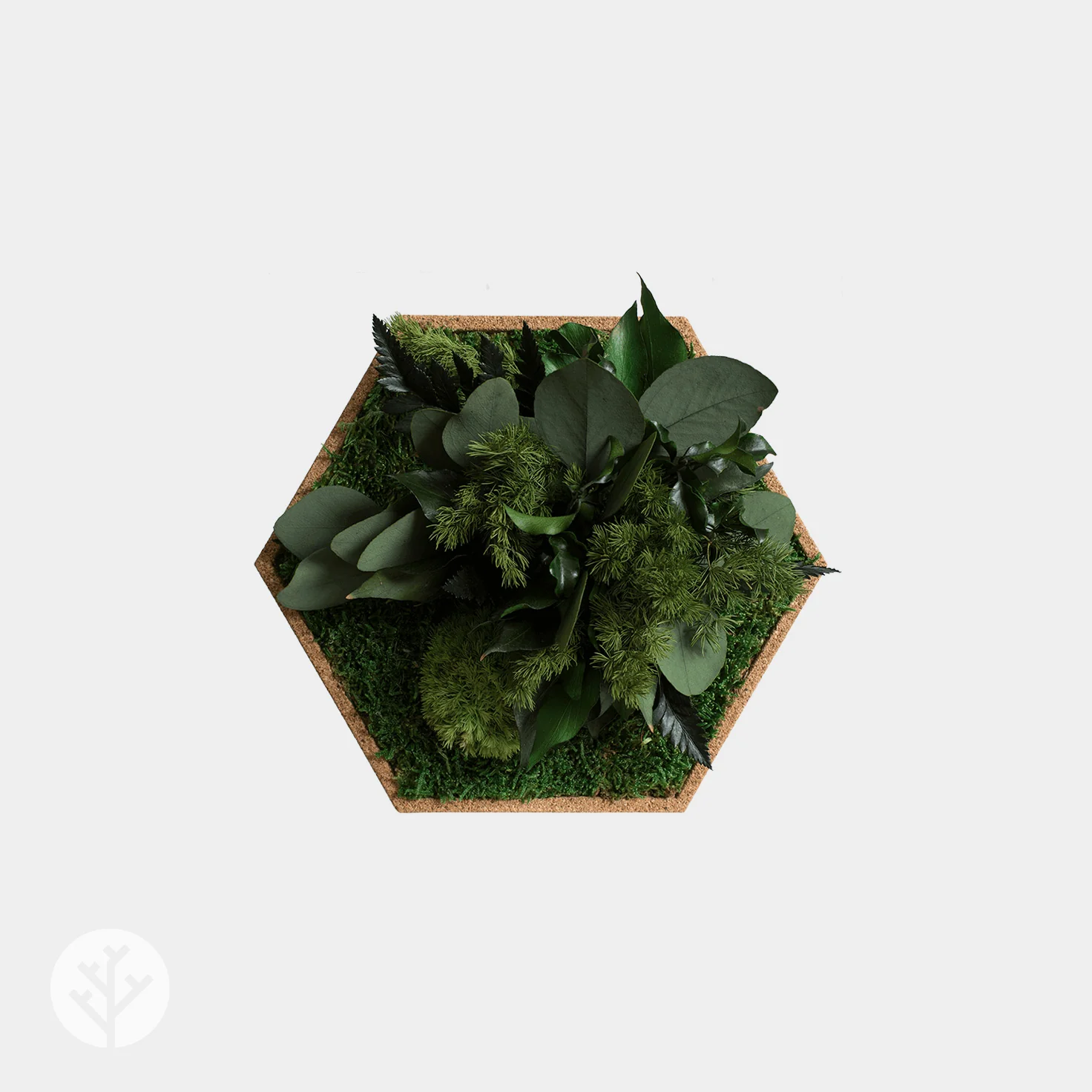 Muratto® Organic Hexagonal Moss Trays Cork Luxury Wall Tiles - Image 3