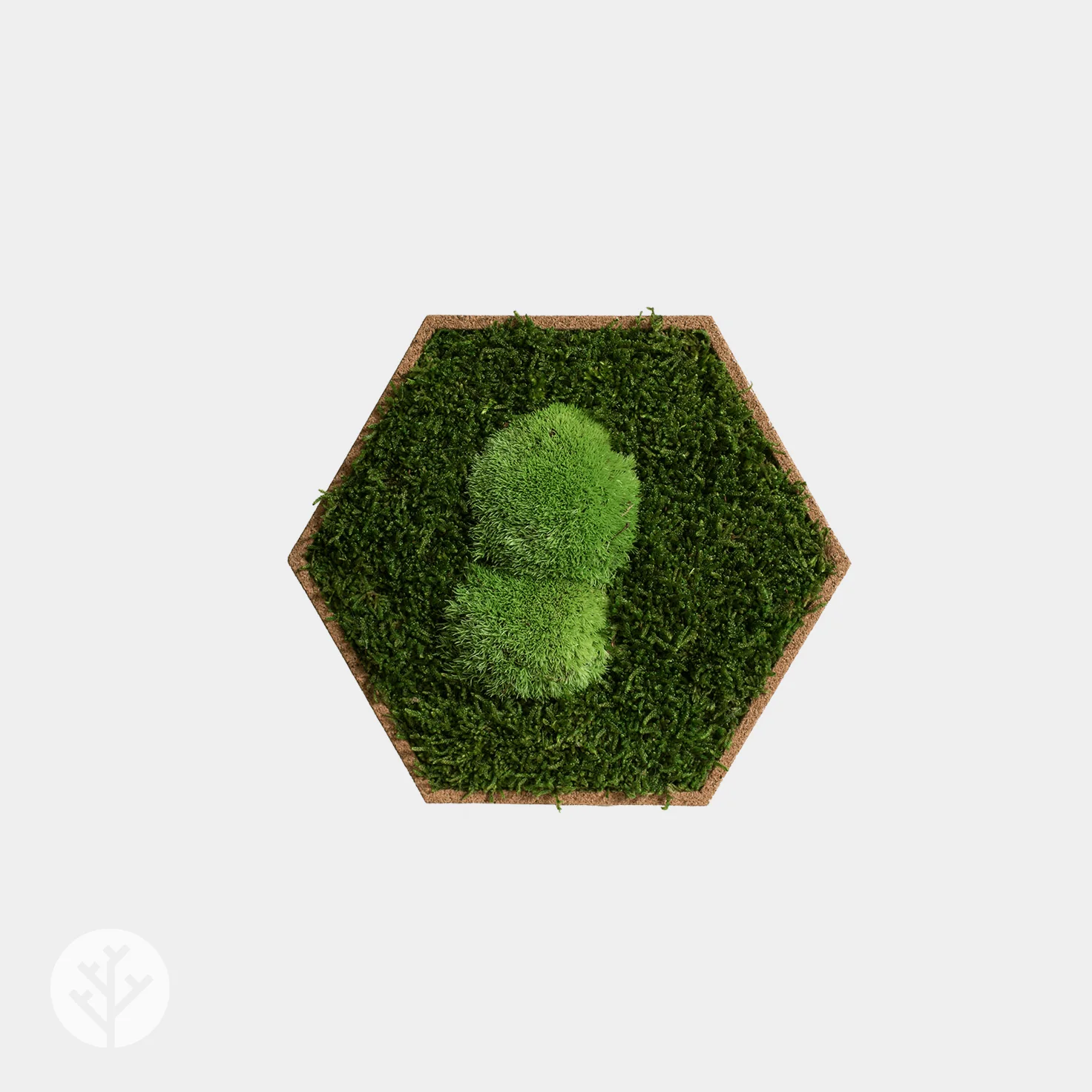 Muratto® Organic Hexagonal Moss Trays Cork Luxury Wall Tiles - Image 4