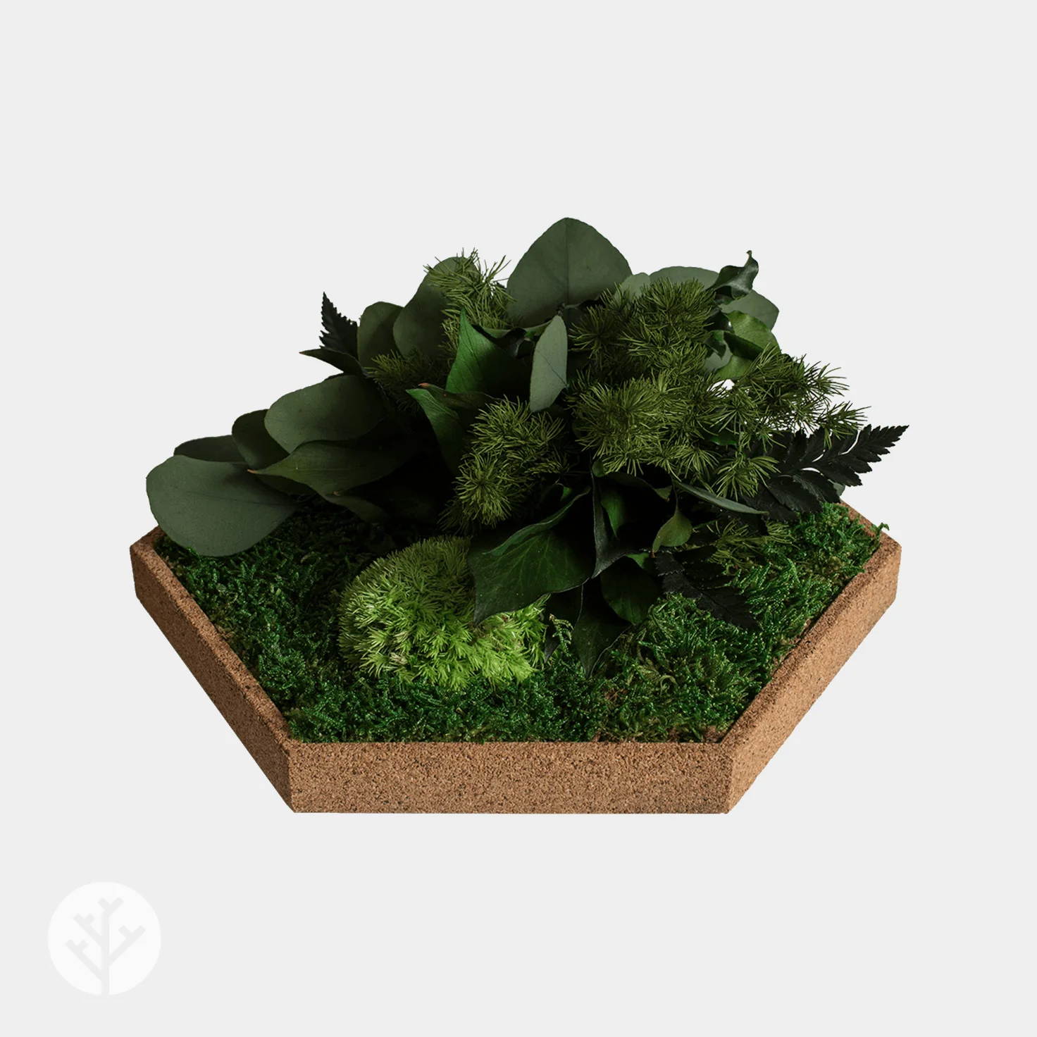 Muratto® Organic Hexagonal Moss Trays Cork Luxury Wall Tiles - Image 7