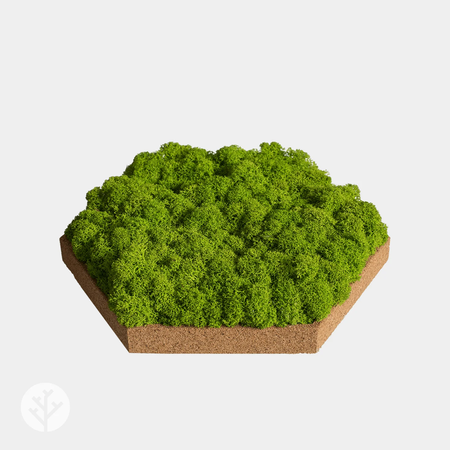 Muratto® Organic Hexagonal Moss Trays Cork Luxury Wall Tiles - Image 9