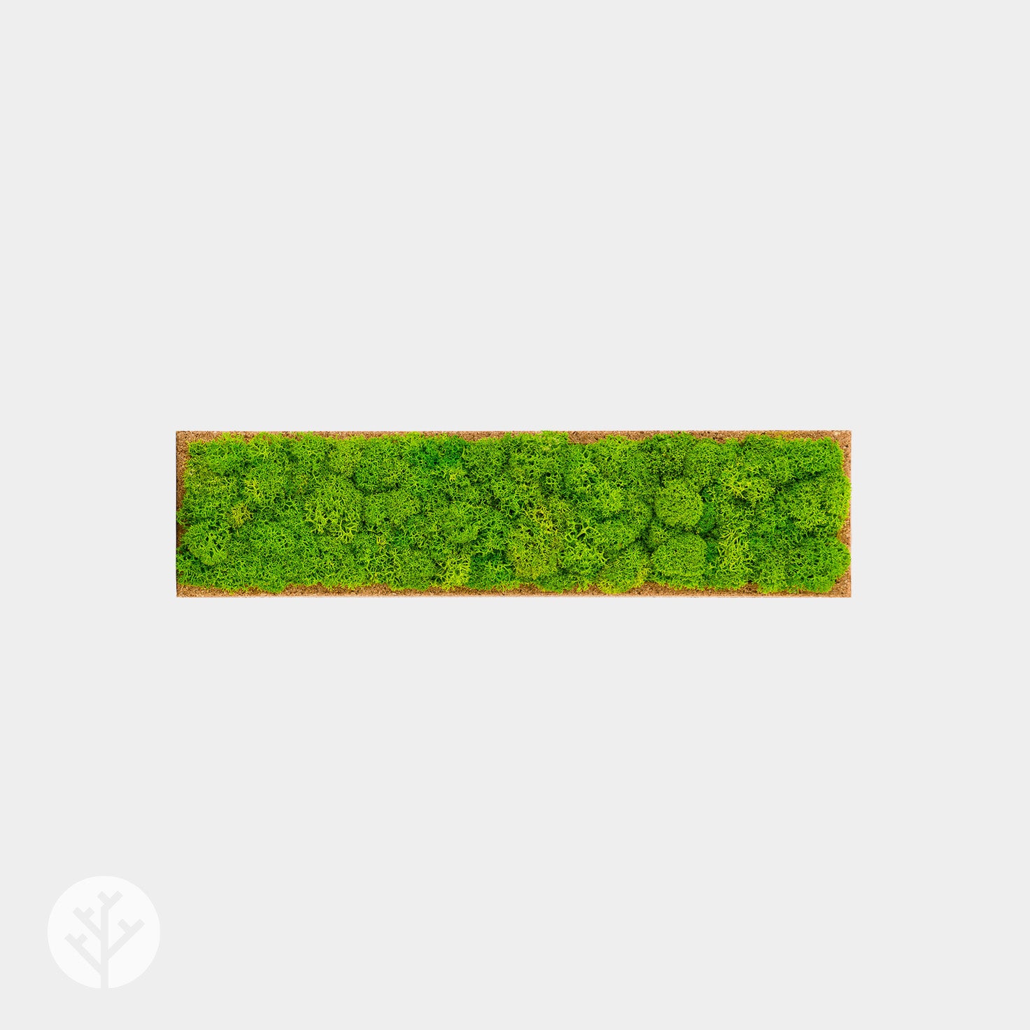 Muratto® Organic Rectangular Moss Cork Luxury Wall Tiles - Image 2
