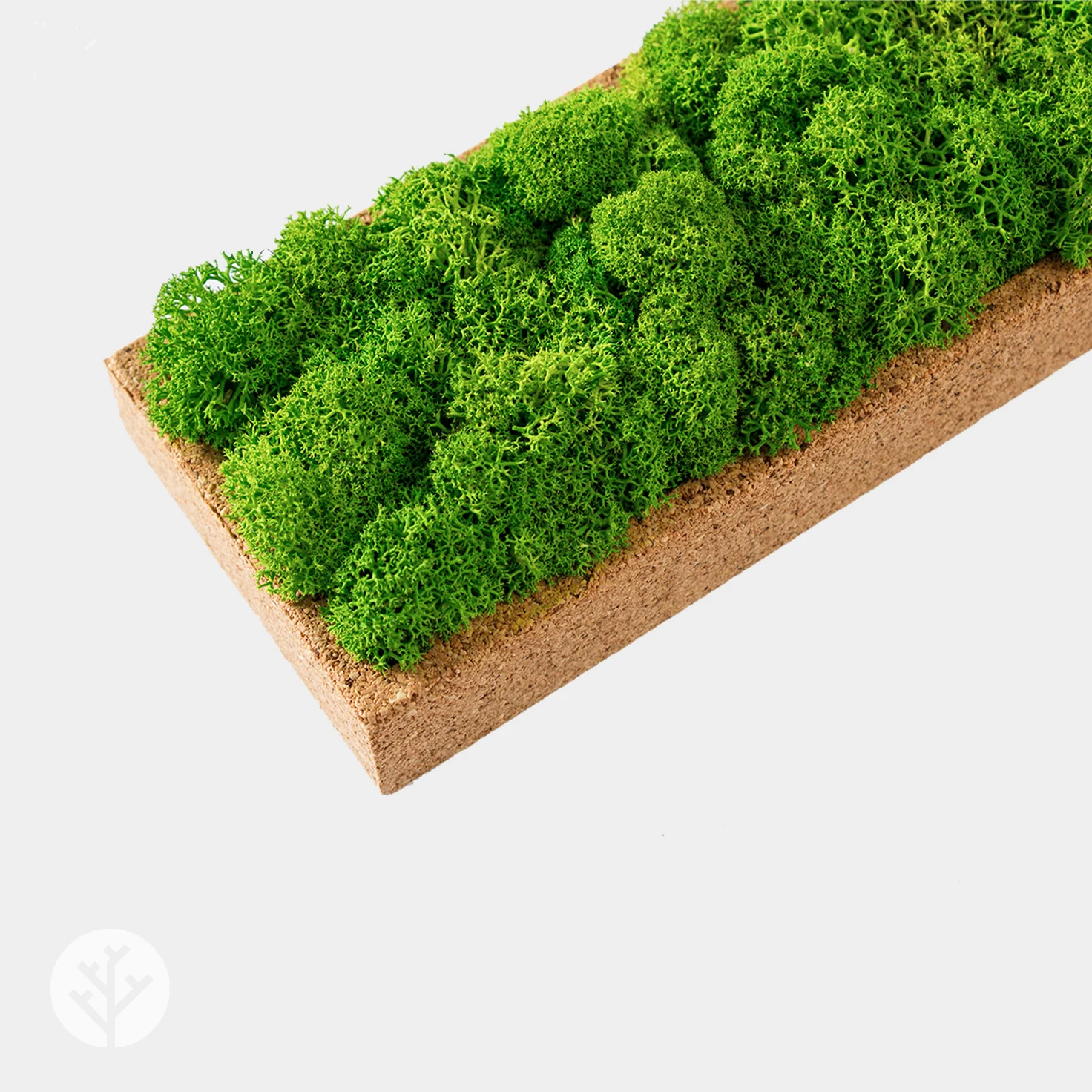 Muratto® Organic Rectangular Moss Cork Luxury Wall Tiles - Image 3
