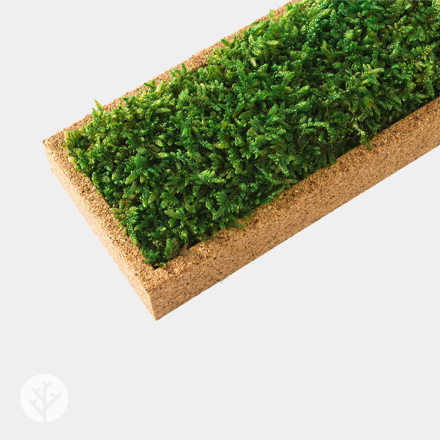 Muratto® Organic Rectangular Moss Cork Luxury Wall Tiles - Image 5