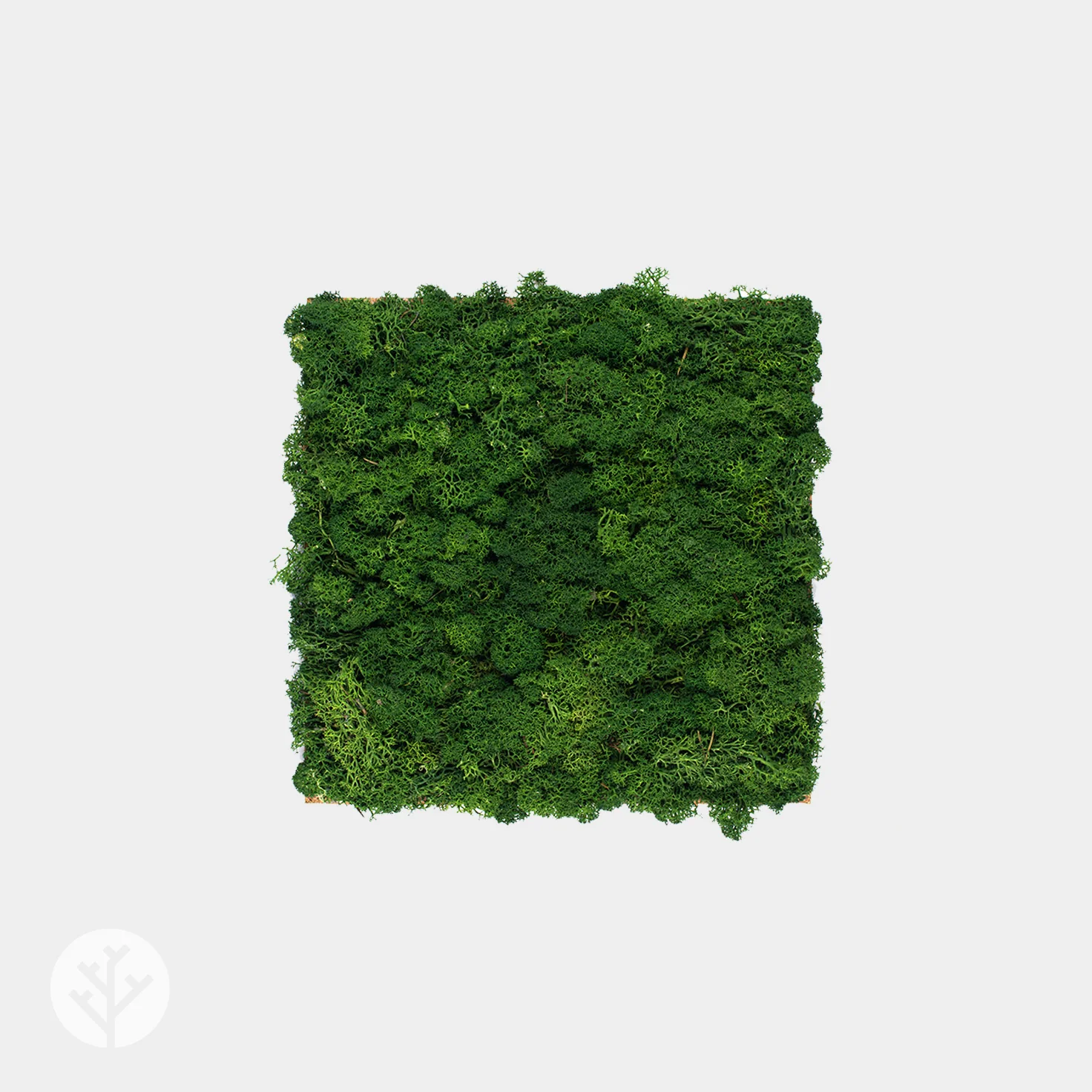 Muratto® Organic Square Moss Cork Luxury Wall Tiles - Image 3