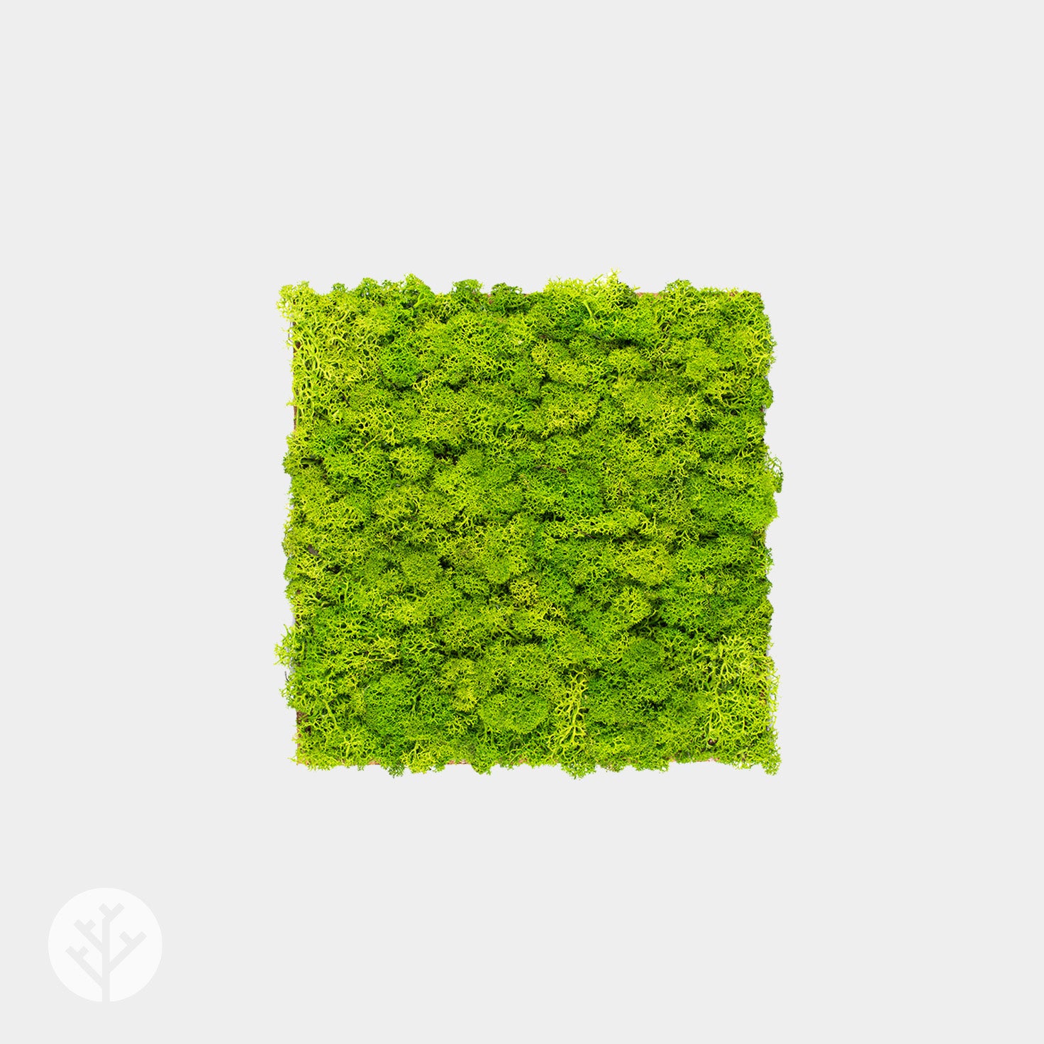 Muratto® Organic Square Moss Cork Luxury Wall Tiles - Image 4