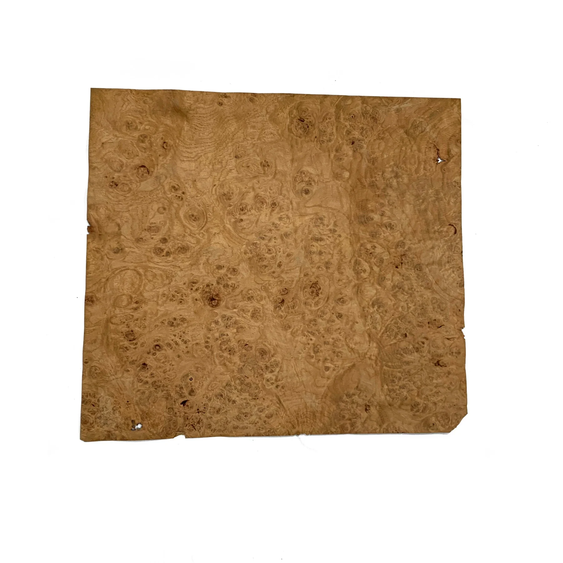 Oak Burl Wood Veneer - Image 3