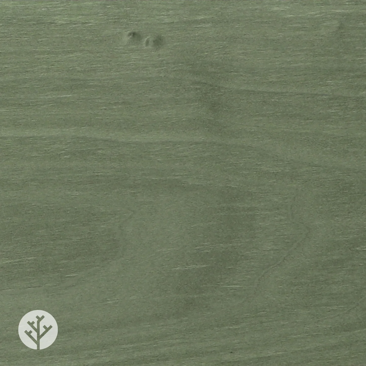 Pear Green Tulipwood Coloured Wood Veneer