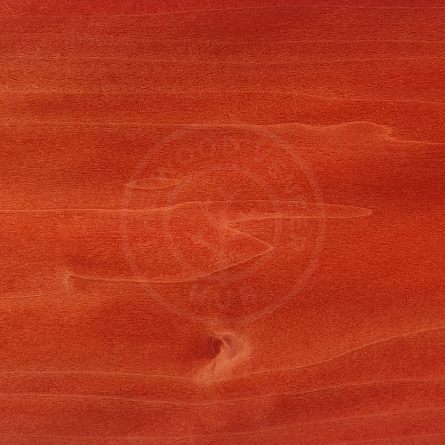 Vivid Orange Tulipwood Coloured Wood Veneer - Image 3