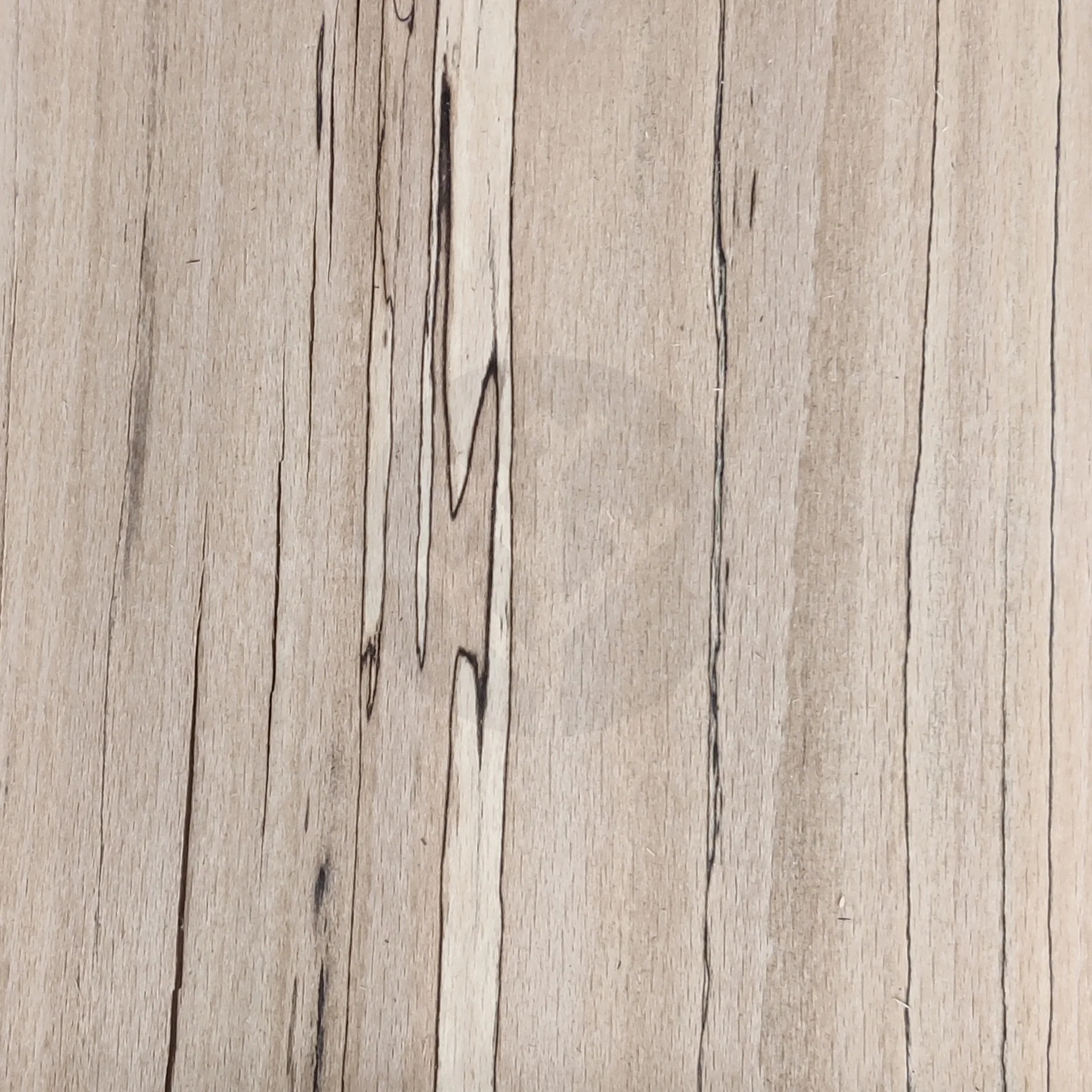 Spalted Beech Wood Veneer