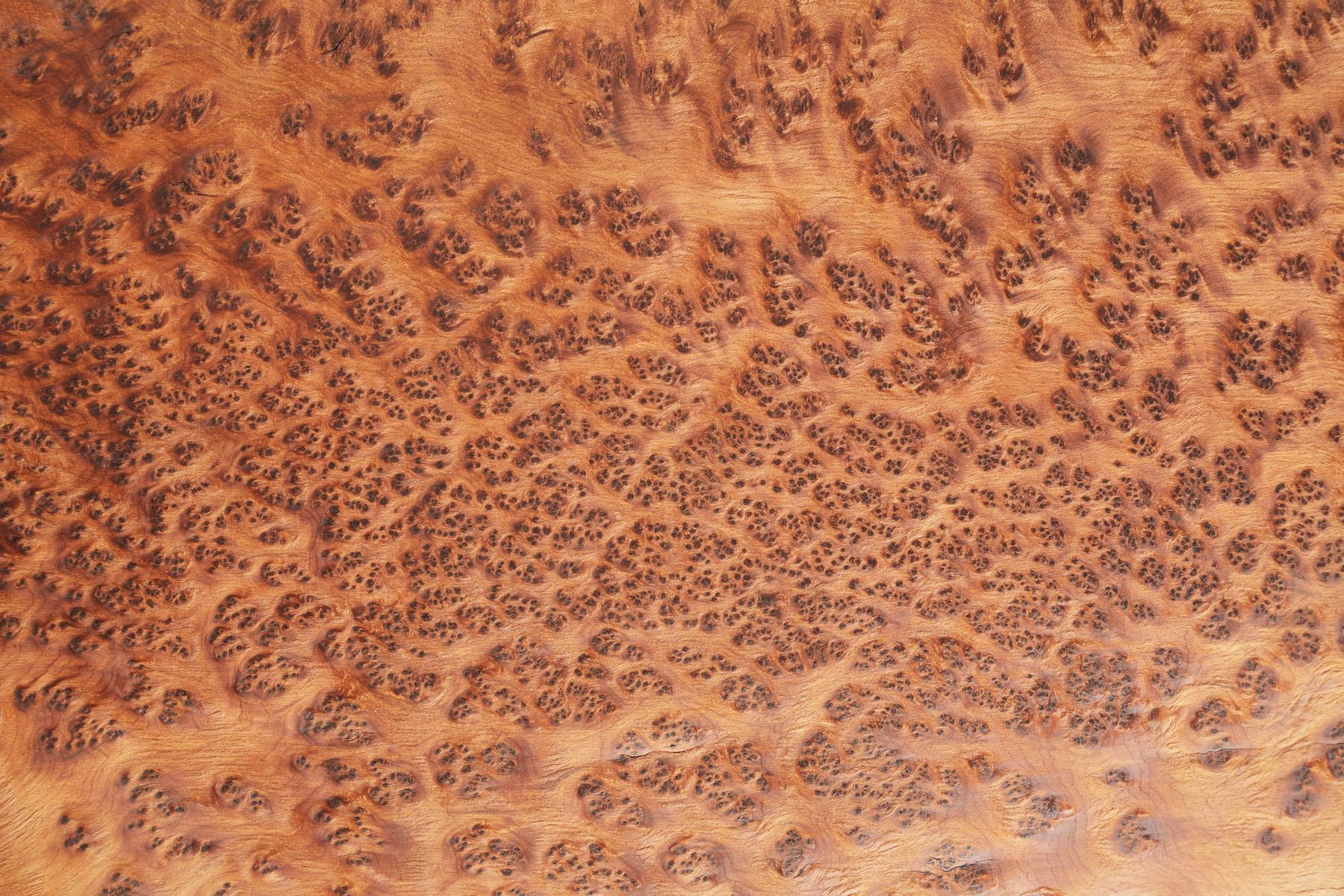 Thuya Burl Wood Veneer - Image 3