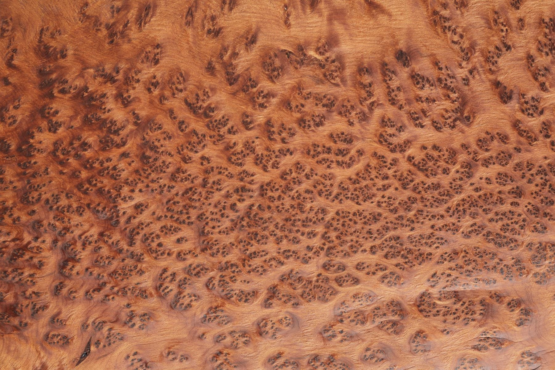 Thuya Burl Wood Veneer - Image 4