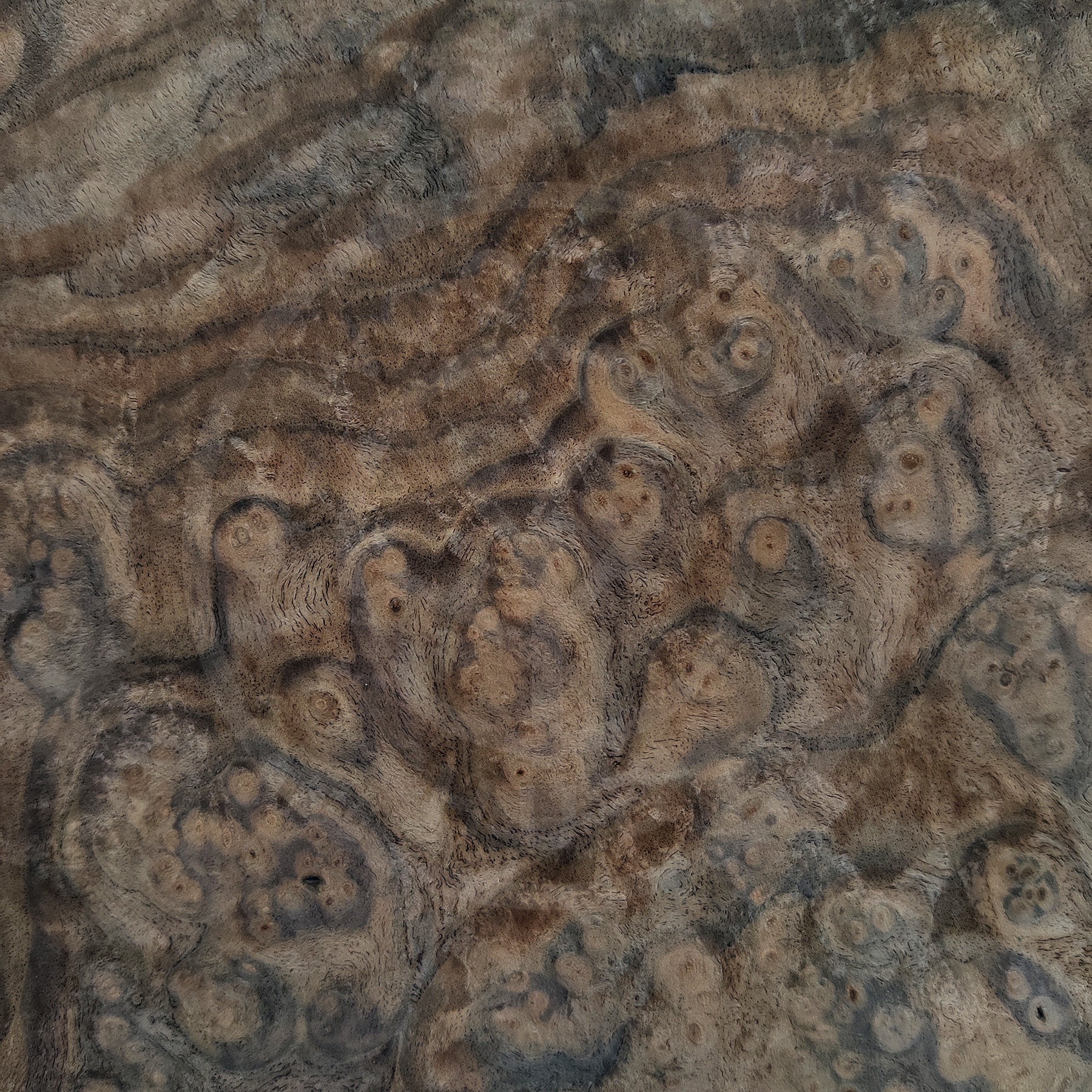Walnut Burl Wood Veneer - Image 3