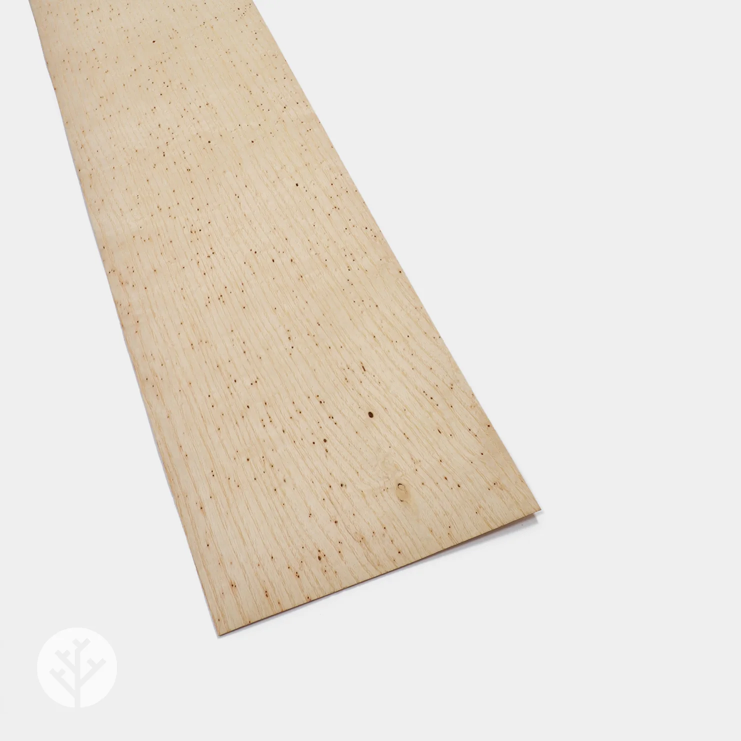Wormy Ash Wood Veneer - Image 2