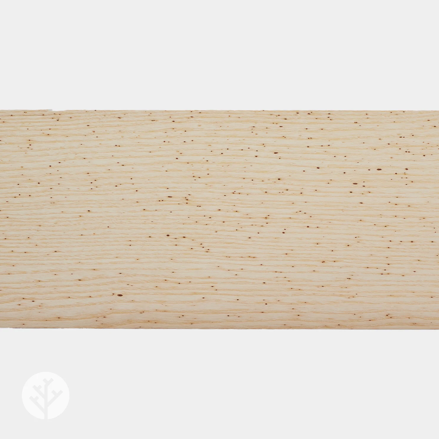 Wormy Ash Wood Veneer - Image 3