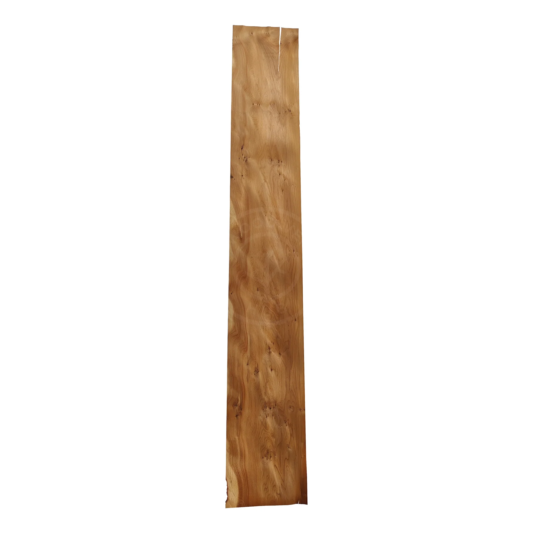 Yew Wood Veneer - Image 4